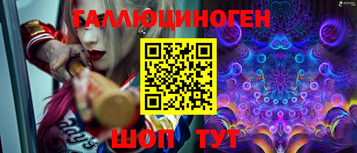 Галлюциногенные грибы Psilocybe Топки