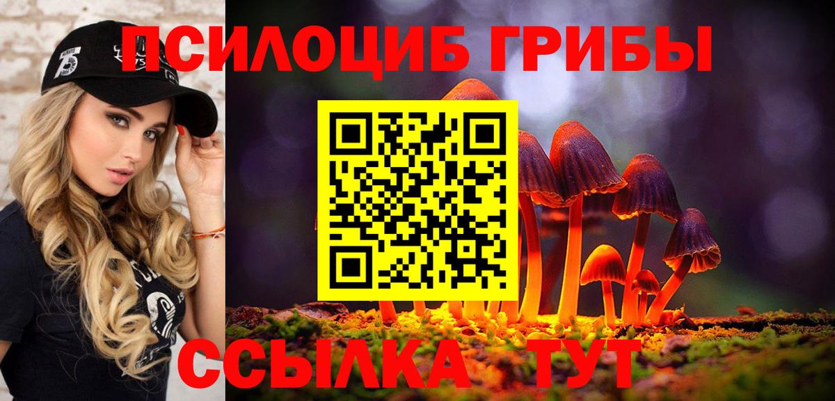 Галлюциногенные грибы Psilocybine cubensis  Вход с VPN  Топки 